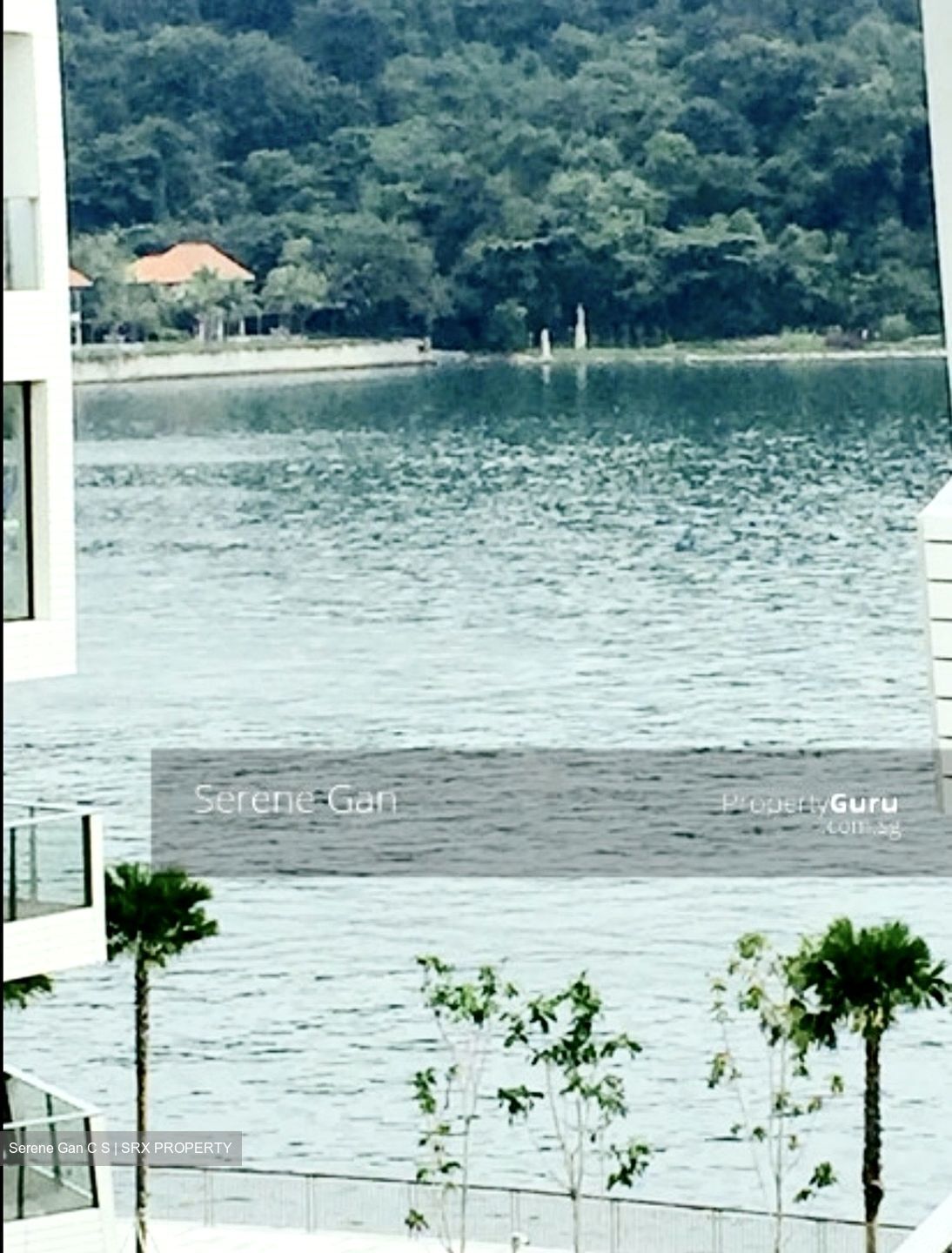 Corals At Keppel Bay thumbnail photo